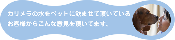 カリメラの水をペットに飲ませて頂いているお客様からこんな意見を頂いています。