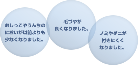 おしっこやうんちのにおいが以前より少なくなりました。毛づやが良くなりました。ノミやダニが付きにくくなりました。