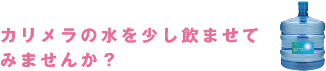 カリメラの水を少し飲ませてみませんか？