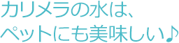 カリメラの水は、ペットにも美味しい♪